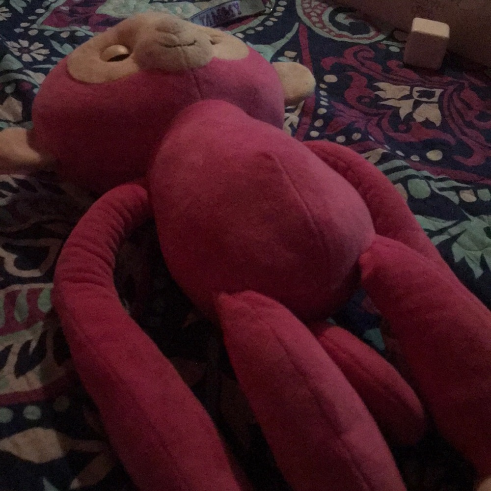 Monkey
